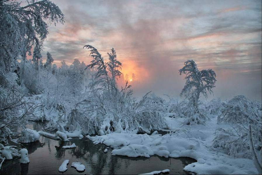 Картинки суровая зима