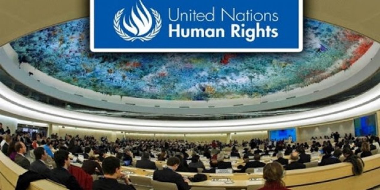 Комиссия по правам человека оон. Совет по правам человека ООН. Комитет ООН по правам человека Женева. Совет по правам человека ООН эмблема.