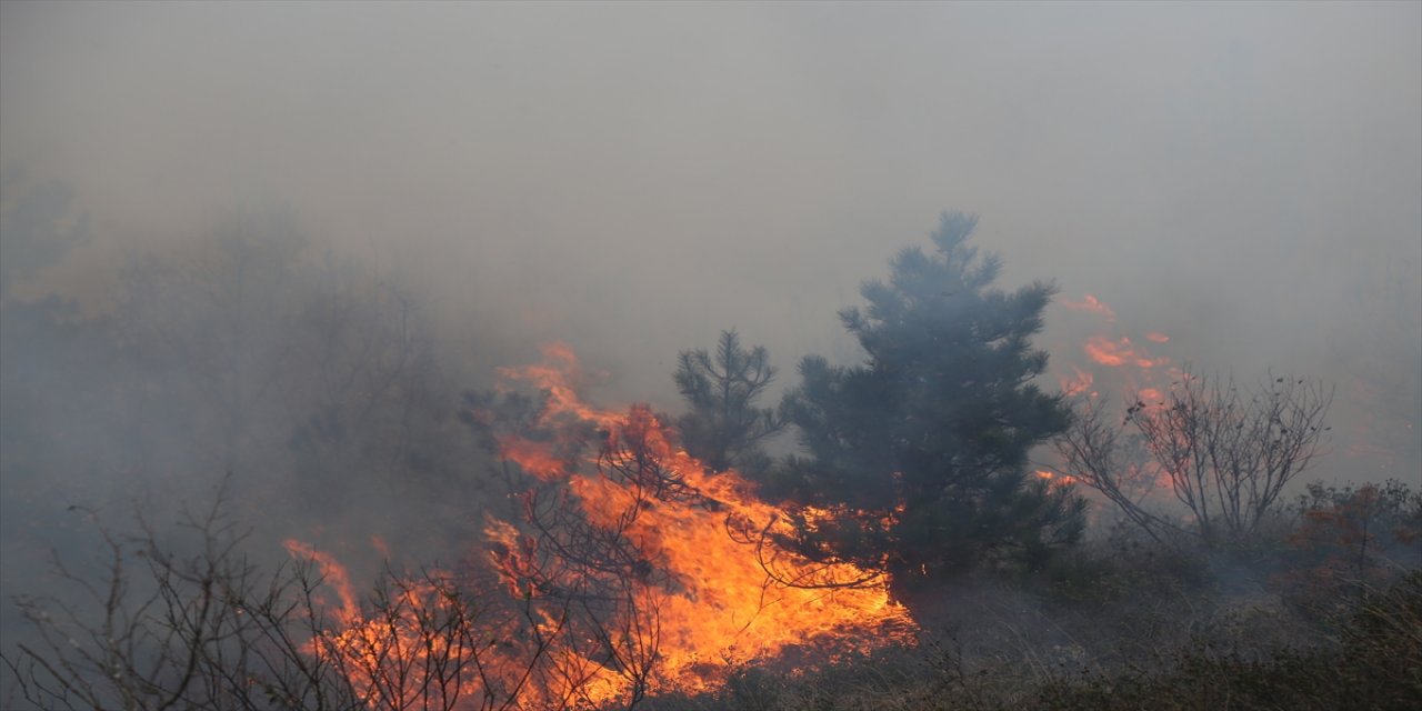 Kastamonu'da orman yangınına müdahale ediliyor