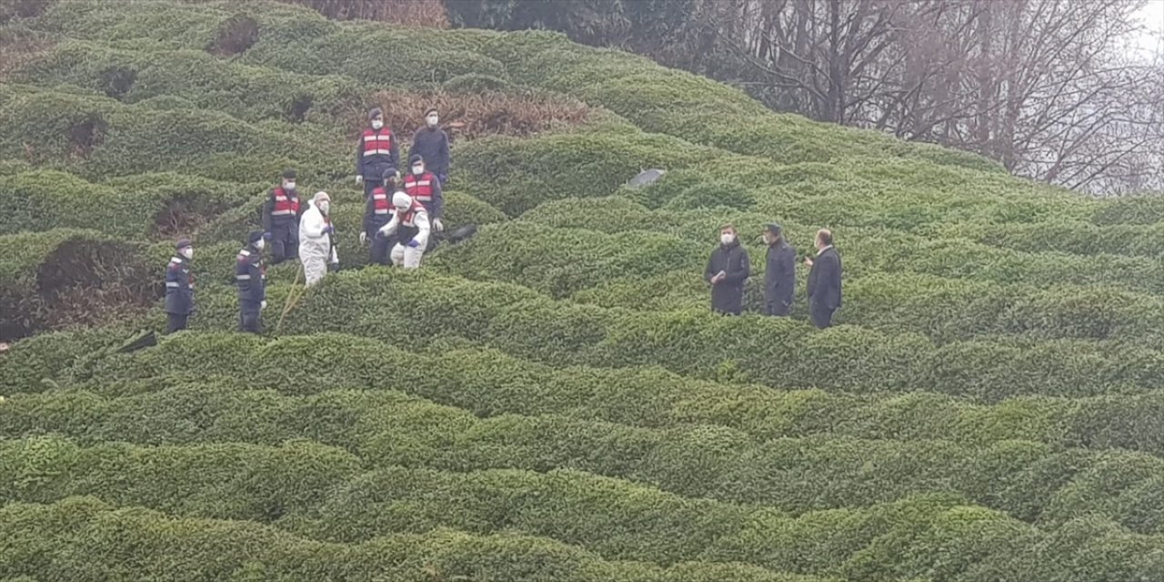 Rize'de yeğenini öldürüp gömen amca jandarmaya teslim oldu