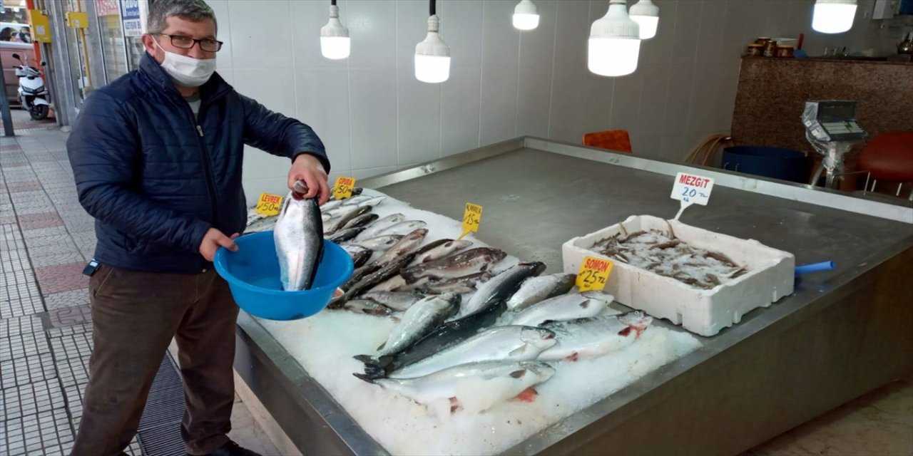 Sinop'ta tezgahlarda av balıklarının yerini havuz balıkları aldı