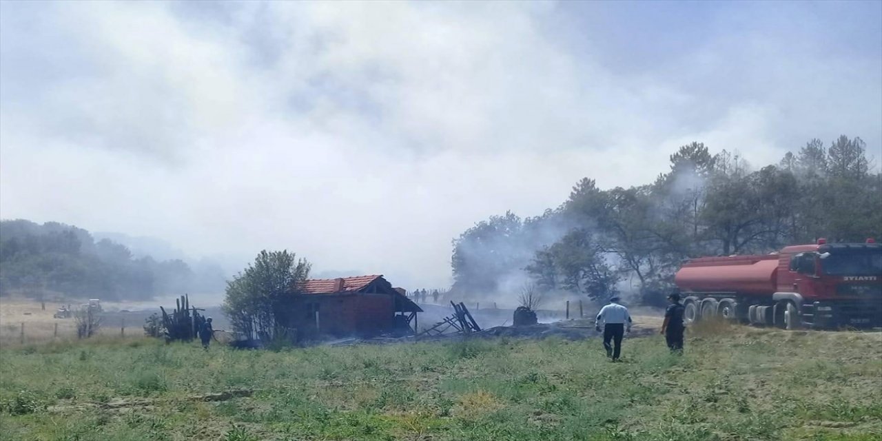 Nallıhan'da ormanlık alandaki yangın söndürüldü