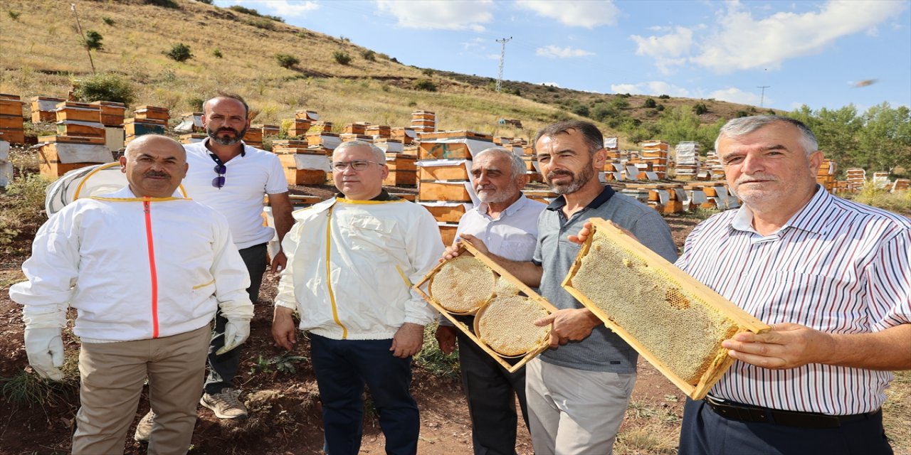 Sivas'ta bal hasadı başladı, 7 bin ton rekolte bekleniyor.