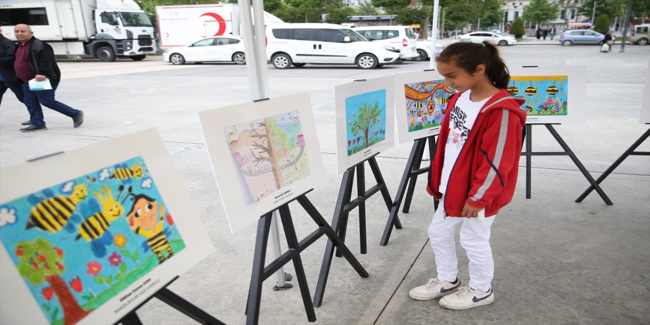 Dünya Arı Günü etkinliği Sakarya'da gerçekleştirildi