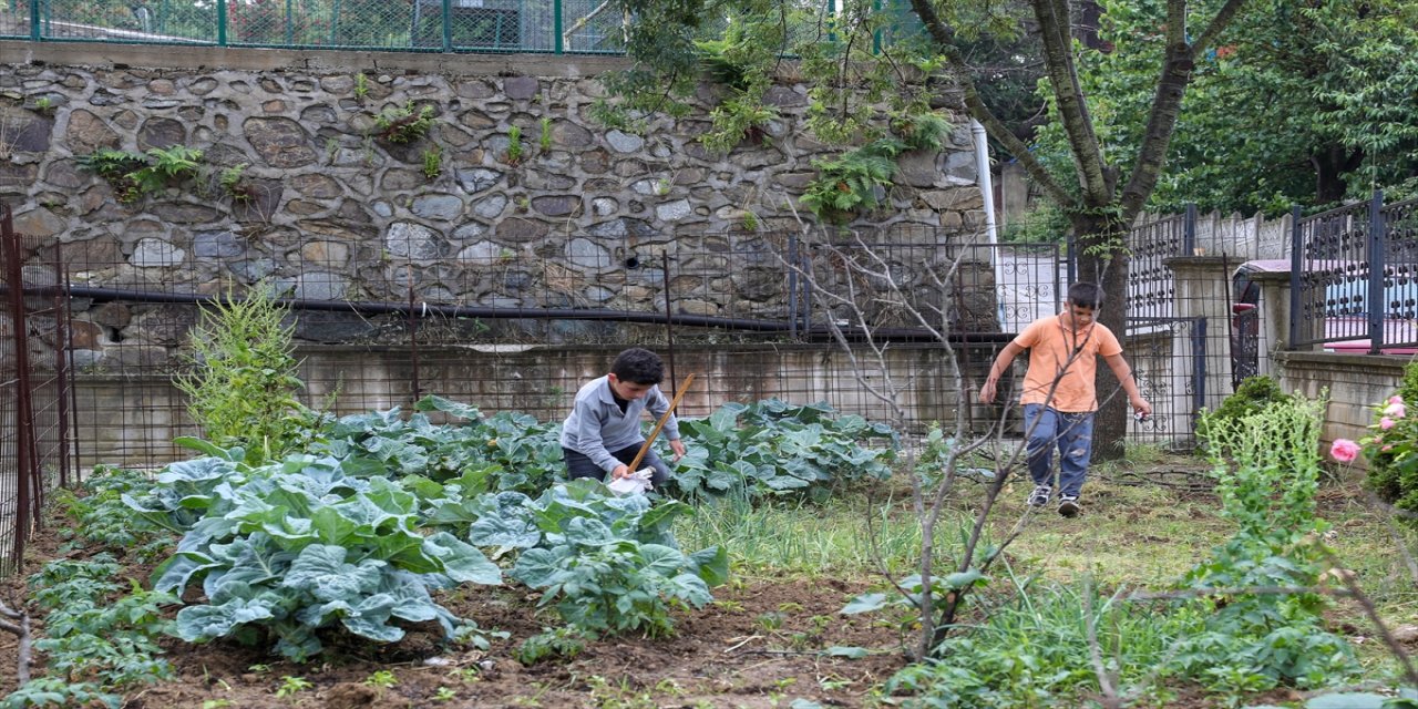 Sakarya'da ilkokul öğrencilerinin yağmur suyuyla yetiştirdiği mahsuller ihtiyaç sahiplerine ulaştırılıyor