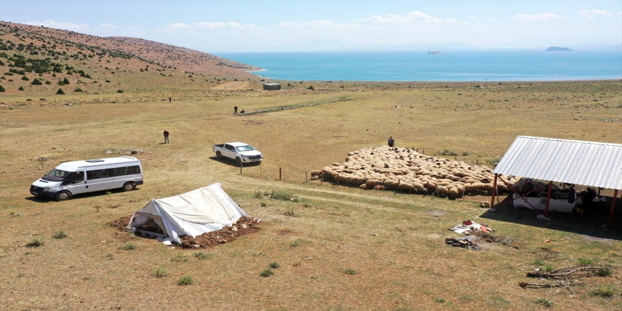 Van'da hayvanların otlatıldığı yaylaya güneş enerjisiyle su ulaştırıldı.