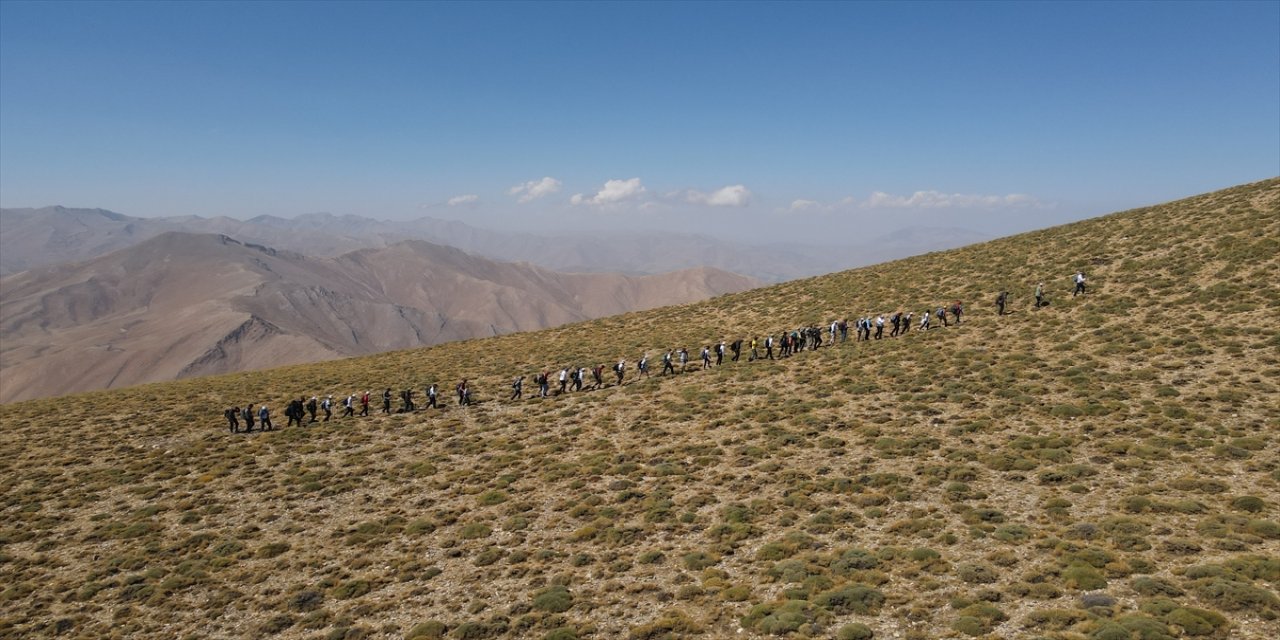 Doğaseverler, Van Gölü konusunda farkındalık oluşturmak için Artos Dağı'na tırmandı