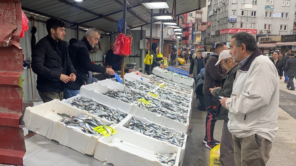 Zonguldak'ta balık tezgahlarında istavrit bolluğu yaşanıyor