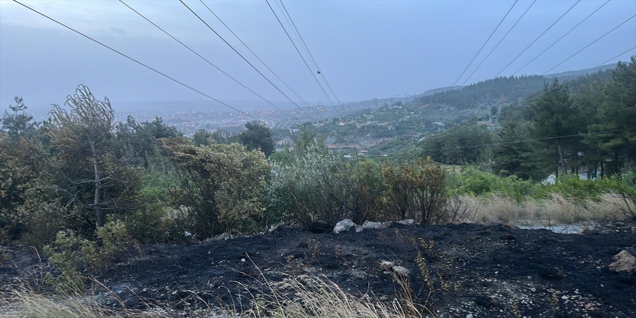 Hatay'da Dörtyol'da çıkan orman yangını ekiplerce söndürüldü.