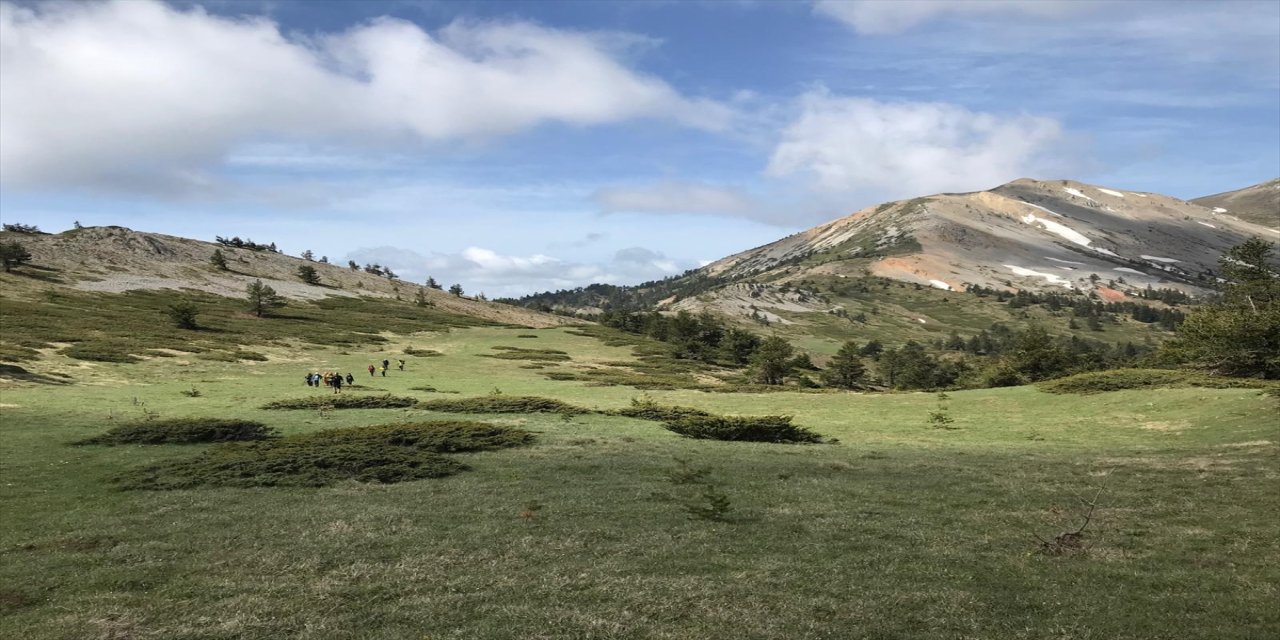 Çankırı ve Bartın'dan 24 sporcu, Gençlik Haftası dolayısıyla Ilgaz Dağı'nda tırmanış gerçekleştirdi.