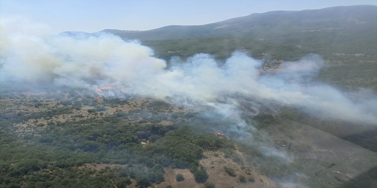 Bursa'nın Orhaneli ilçesinde, ormanlık alanda çıkan yangın kontrol altına alındı.