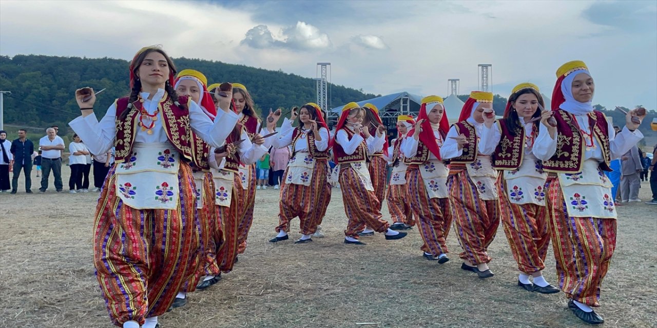 Sakarya'nın Pamukova ilçesinde Çilek Festivali gerçekleştirildi.