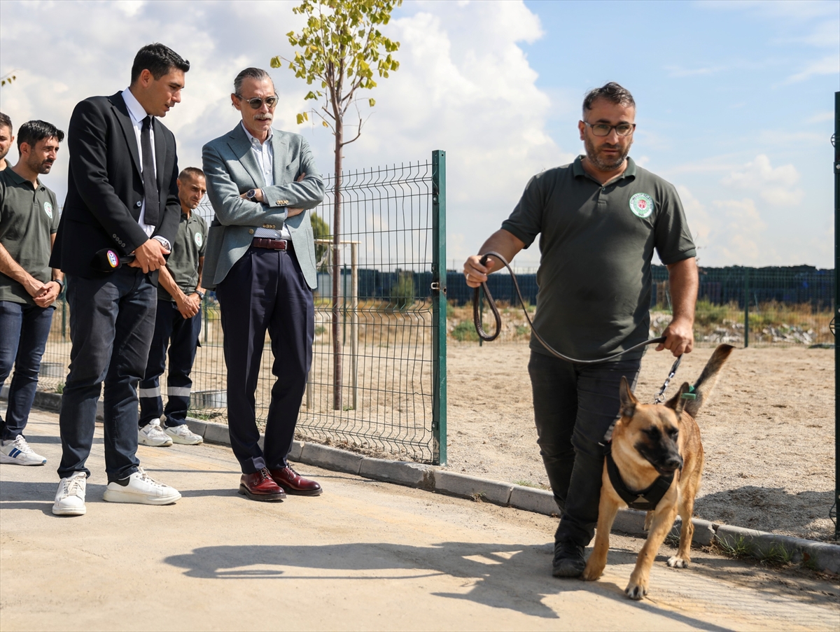 Etimesgut Belediyesince 5 sahipsiz köpek eğitilerek bekçi köpeği yapıldı