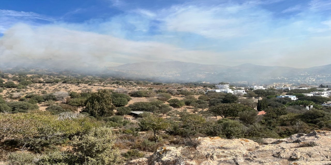 Muğla'nın Bodrum ilçesinde makilik alanda çıkan yangın söndürüldü.